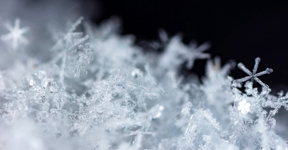 Por que o ultracongelador não cria cristais de gelo? Saiba como preservar a comida!